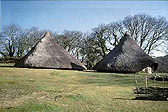 Typical Iron Age round houses